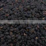 Babchi Seed thumbnail-2