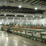 Hebei Dilly Fashion Co., Ltd. company overview - view 4 thumbnail