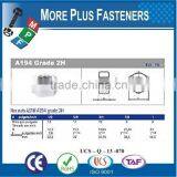 Made in Taiwan A194 Heavy Hexagon Nut thumbnail-1