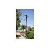 Solar Street Light thumbnail-1