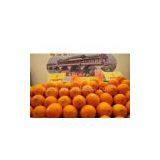 Sell Navel Orange thumbnail-1