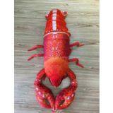 100*25cm Using 3D Digital Printing Technology, Modeling Realistic, New Lobster Pillow, Window Decoration，Birthday Christmas Surprise Gift thumbnail-2