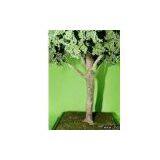 Model Palm Trees thumbnail-1