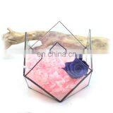 Terrarium With Ring Geometric Glass Terrarium Wholesale thumbnail-1