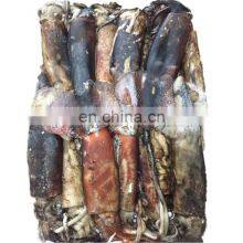 Frozen Dosidicus Gigas Equator Squid Frozen Giant Squid Peru Price Whole Round 300-500 500-1000
