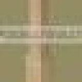 Wooden Columns thumbnail-1