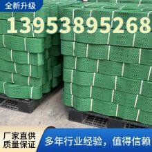 Polymer Honeycomb Geocell for Road Slope Greening TGLG-PE-75-600-1.5 thumbnail-5