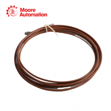 Bently Nevada 81305-040-00 thumbnail-4