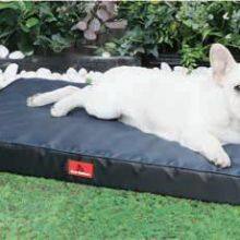 Orthopedic & Calming Pet Bed thumbnail-1