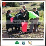 Plastic Corflute Corrugated Tree Guard With Wooden Stake thumbnail-3