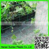 SUPER Plastic Garden Mesh for Growing Plants Support thumbnail-5