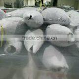 Frozen Bonito Skipjack Tuna 4kg up HACCP Seafood Whole Round Auxis Thazard Light Catch Land Frozen (skype:ste.nanking) thumbnail-1