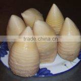 Wholesale Water Bamboo Shoot in Can (M Grade)