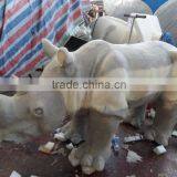 Walking Animals for Playground for Kiddie Riding