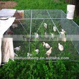 Cheap chicken cage (manufacturer)