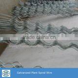 Glavanized Steel Bar Tomato Spiral Support Rod for Plant Climbing thumbnail-6