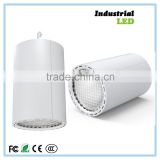 LED hanging outdoor cool white down light