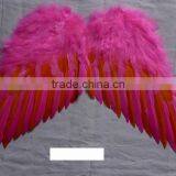 Feather Wings