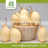 ya fresh pear import from china
