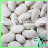 High Grade Beans White Kidney Beans Large Type Best Price thumbnail-6