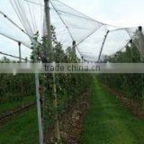 Lightweight crop protection anti-hail net in rolls to wholesale