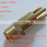 High Quality Pig Nipple Drinker in Brass Material