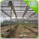 Polycarbonate Greenhouse Sheet Cover thumbnail-4
