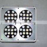 Hiah Quality Apollo Led Grow Lights Hydroponic thumbnail-2