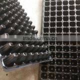 China Factory Cheap Price Seed Plug Tray, Seed Germinator Plant Nursery Tray, Stock MOQ 1000pcs thumbnail-6