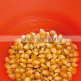 Healthy Microwave Popcorn Popper/Silicone Micro Popcorn Maker Round thumbnail-6