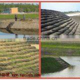 Ecological Nonwoven Bag thumbnail-1