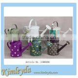 Indoor Watering Can thumbnail-4
