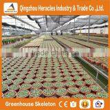 Heracles Trade Assurance Agricultural Plastic Greenhouse for Sale thumbnail-2