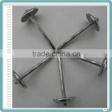 BWG9 BWG10 Export to Africa and Myanmar Indonesia E-galvanized Umbrella Head ROOFING NAILS thumbnail-4
