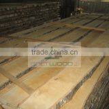 High Quality Unedged Birch Timber thumbnail-5