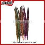 High Quality for Showgirl Carnival Costume Ringneck Tail Pheasant Feathers thumbnail-5