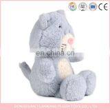 Fancy Teddy Bear Philippines thumbnail-2