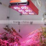HL-G80A Led Grow Lights for Plants thumbnail-2