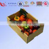 Vegetable Garden Packaging Box on Sale thumbnail-2
