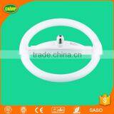 T8 Circles Energy Saving Lamp thumbnail-2