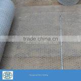 Galvanized Wire PVC Coated Wire Chicken Wire Mesh thumbnail-2