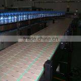 Beverage Manufacture Plastic Chain Conveyor Production Line thumbnail-6