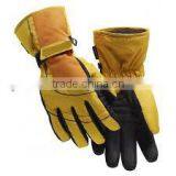 Ski Gloves
