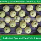 Golden Apple thumbnail-1