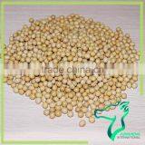 Non-gmo Soybeans thumbnail-3