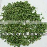 Dehydrated Spring Chives for Export thumbnail-1