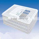 Live Chicken Box for Live/adult Chicken