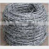 Barbed Iron Wire