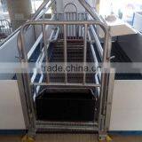 Made In China Fiber Glass Farrowing Crate,pig Farm House,pig Farming Equipment thumbnail-5