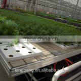 Tide Irrigation System for Nursery and Seedling Greenhouse thumbnail-1